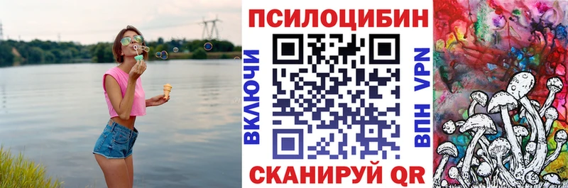 Псилоцибиновые грибы Psilocybe  MEGA ССЫЛКА  Южа 